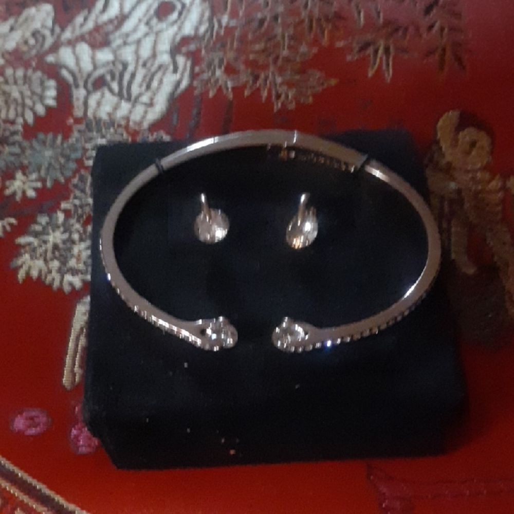 Givenchy Rose Gold Bracelet And Earrings Set